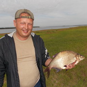 ���������� �������, ���� ������� �������, 50 ���, ������������ ��� ������, ����� � ���������, c�������� ���������