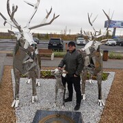 ���������� �����, ���� ������� ������, 44 ����, ������������ ��� ������, ����� � ���������, c�������� ���������, ���������