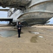 ���������� �����, ���� ������� �������, 37 ���, ������������ 