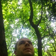 ���������� ������, ���� ������� ������, 39 ���, ������������ ��� ������, ����� � ���������, c�������� ���������