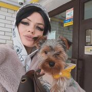 ���������� ���������, ������