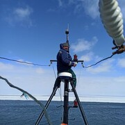 ���������� ������, ���� ������� �������, 44 ����, ������������ ��� ������, ����� � ���������