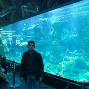 ���������� �������, ���� ������� ����, 37 ���, ������������ ��� ����� � ���������, c�������� ���������