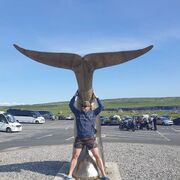 ���������� ������-��-����, ���� ������� ������, 37 ���, ������������ ��� ������, ����� � ���������, c�������� ���������