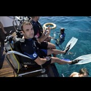 ���������� ��������, ���� ������� ��������, 44 ����, ������������ ��� ������, ����� � ���������, c�������� ���������, ���������