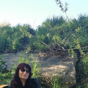 ���������� �����-���������, ���� ������� ����, 46 ���, ������������ ��� ������, ����� � ���������, c�������� ���������