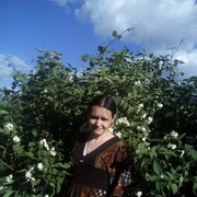  ,   , 44 ,   