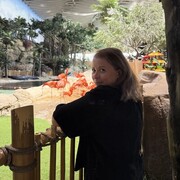  ,   , 60 ,   ,   , c , 