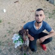  ,   , 29 ,   ,   
