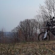 ���������� ������� ������, ���� ������� ����, 37 ���, ������������ ��� ������