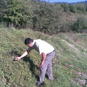  ,   050 3807086, 43 ,   