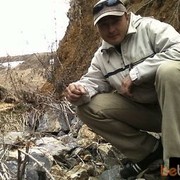  ,   Cot, 44 ,   