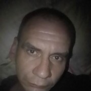  ,  , 41