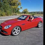 ���������� ������, ���� ������� �������, 38 ���, ������������ ��� ������, ����� � ���������