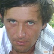  -,   Pachalia, 43 ,  