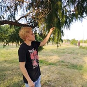  ,   , 26 ,   ,   , c , 