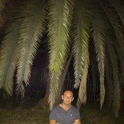 ���������� �����, ���� ������� �����, 41 ���, ������������ ��� ������, ����� � ���������, c�������� ���������