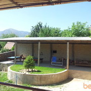  ,   Bakhtior, 50 ,     , c 
