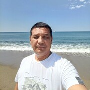  -,   , 37 ,     