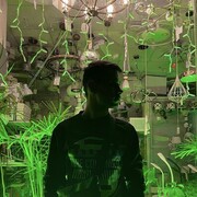 ���������� ����, ���� ������� ������, 26 ���, ������������ ��� ����� � ���������, c�������� ���������