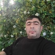 ���������� ���������, ���� ������� Elmir, 41 ���, ������������ ��� ������, ����� � ���������