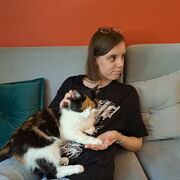 ���������� �����, �����