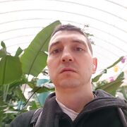 ���������� ����, ���� ������� ���������, 37 ���, ������������ ��� ������, ����� � ���������