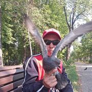 ���������� ������, ���� ������� �����, 40 ���, ������������ ��� ������, ����� � ���������