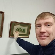  ,   , 41 ,   