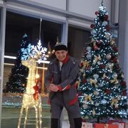 ���������� ������, ���� ������� ����, 41 ���, ������������ ��� ������, ����� � ���������