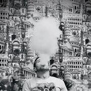 ���������� ������������, ���� ������� ����, 27 ���, ������������ ��� ������, ����� � ���������