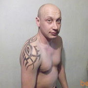  -,   , 41 ,  