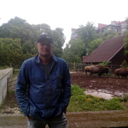  ,   , 48 ,   ,   