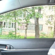 ���������� ���������, ���� ������� ����, 39 ���, ������������ ��� ������, ����� � ���������