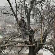 ���������� ������-��-����, ���� ������� �����, 39 ���, ������������ ��� ������, ����� � ���������, c�������� ���������