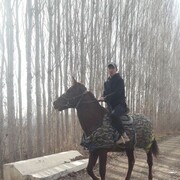 ���������� ������, ���� ������� ��������, 36 ���, ������������ ��� ������, ����� � ���������