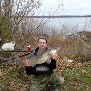 ���������� ������ ��������, ���� ������� ����������, 42 ����, ������������ ��� ������, ����� � ���������