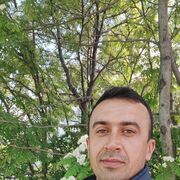  ,   Safar, 37 ,     , c 
