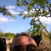  ,   , 43 ,   
