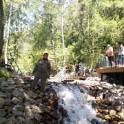 ���������� ������, ���� ������� Nemat, 45 ���, ������������ ��� ������, ����� � ���������