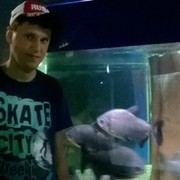  ,   , 37 ,   