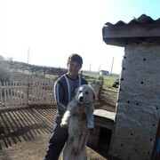  ,   , 37 ,   ,   , c , 