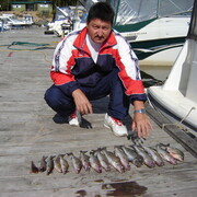 ���������� ��������, ���� ������� ������, 62 ����, ������������ ��� ����� � ���������, c�������� ���������