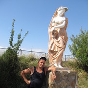  ,   Bars, 41 ,   