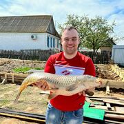 ���������� ������, ���� ������� ������, 34 ����, ������������ ��� ������, ����� � ���������, c�������� ���������