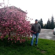  ,   , 57 ,   ,   