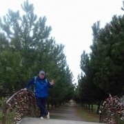  -,   , 53 ,   c 