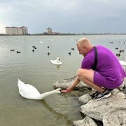 ���������� �������, ���� ������� ���������, 35 ���, ������������ ��� ������, ����� � ���������