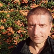 ���������� ��������-��-������, ���� ������� ��������, 40 ���, ������������ ��� ����� � ���������, c�������� ���������