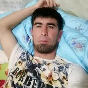  ,   SHER, 33 ,   ,   